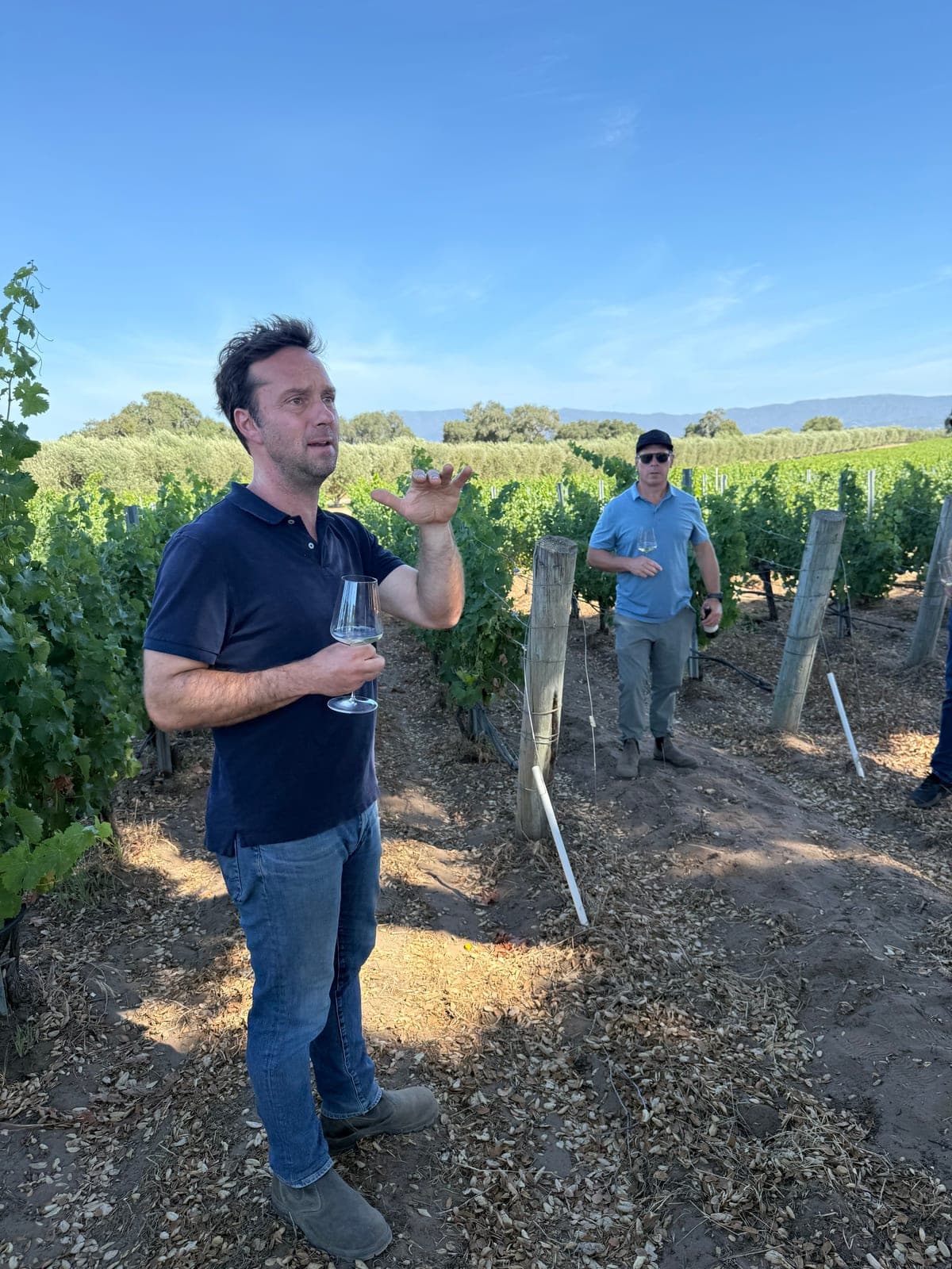 Matt Dees standing in a row of Sauvignon Blanc vines with a glass of white wine, mid-sentence, hand raised, with olive trees and hills behind him and a second man further down the row.